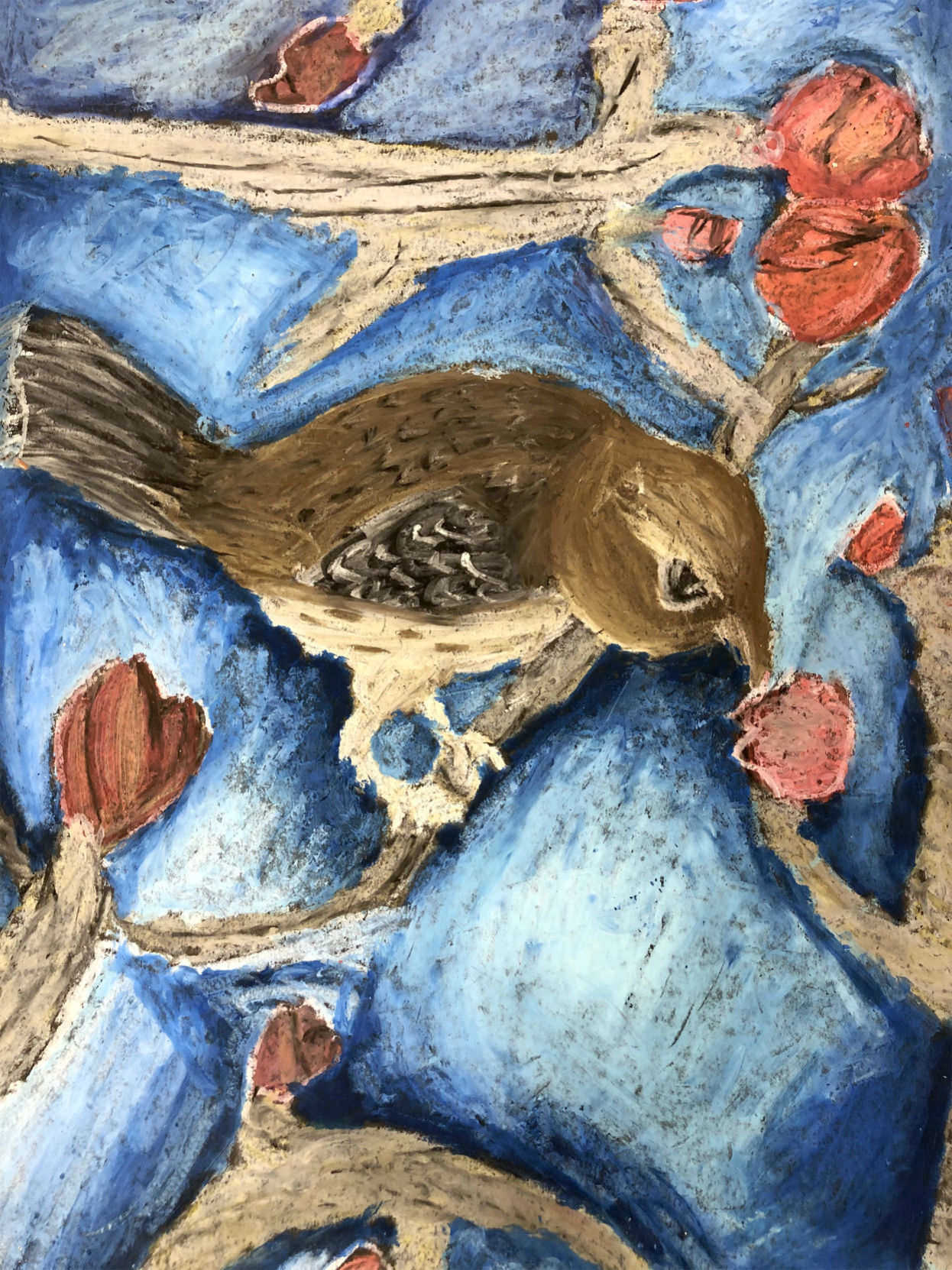 Thirsty bird